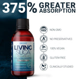 Living Silica etiqueta con información de ingredientes y certificación GMP clara