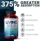Living Silica cápsula en mano para comparar tamaño y dosificación