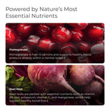 Livingood Daily cápsulas en mano para comparar tamaño y dosis práctica