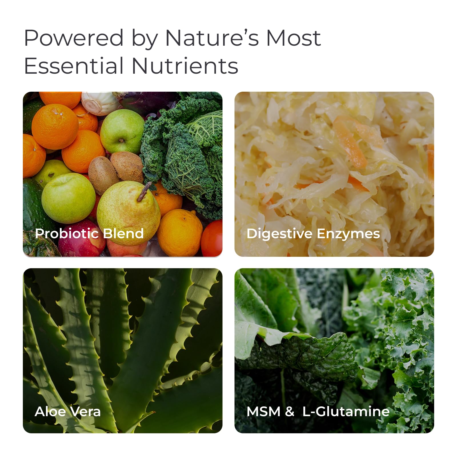 Livingood Daily cápsulas junto a plantas usadas en la fórmula para contexto natural