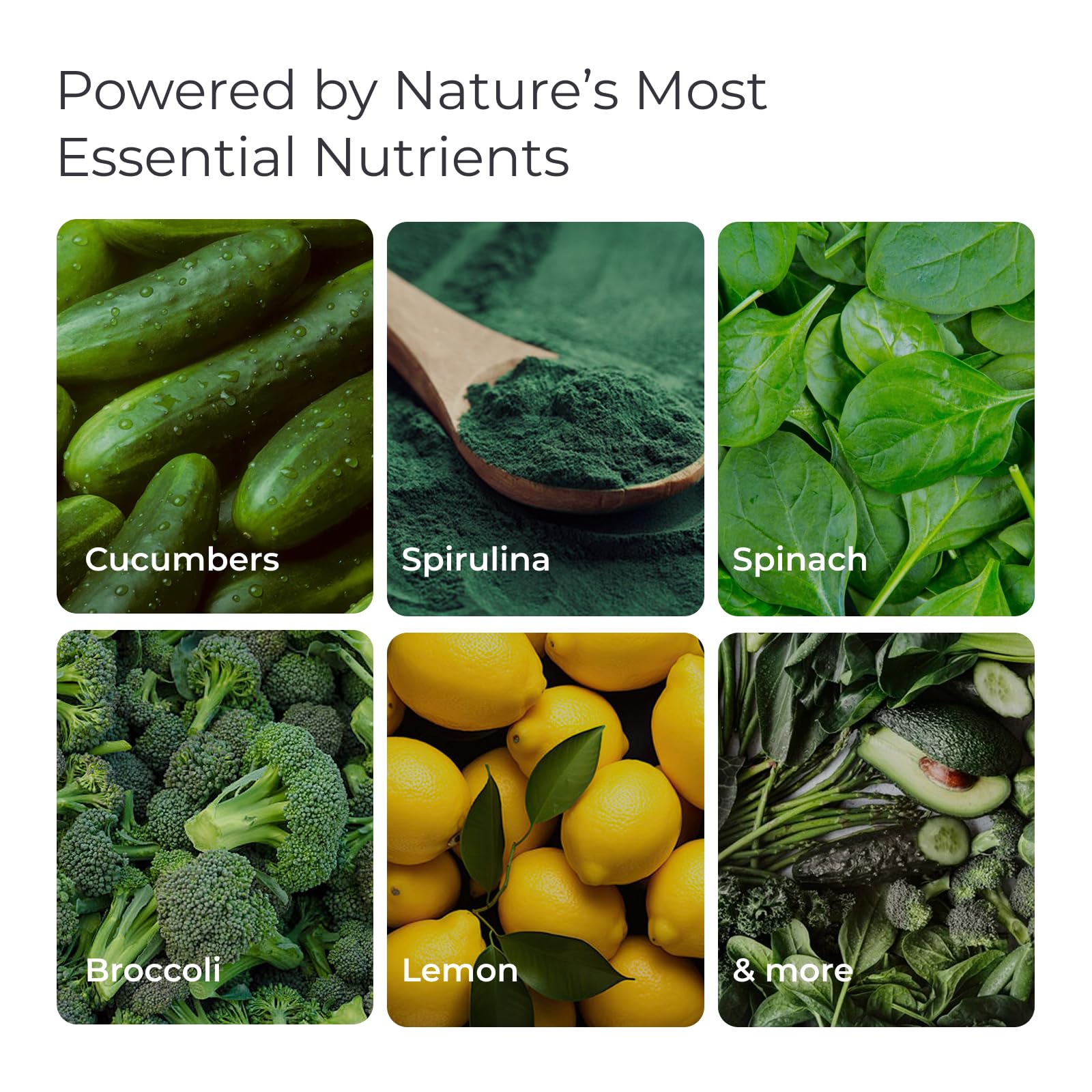 Livingood Daily etiqueta nutricional y lista de ingredientes clara