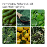 Livingood Daily etiqueta nutricional y lista de ingredientes clara