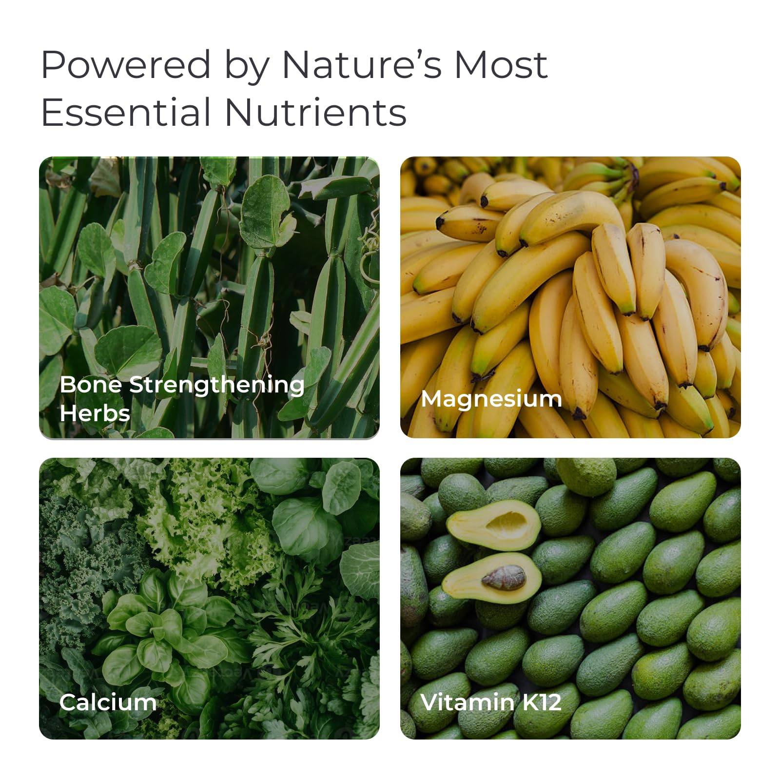 Livingood Daily ingredientes clave exhibidos para claridad de fórmula