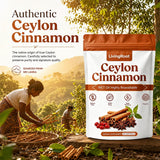 LivingRoot textura del extracto de canela Ceylon preservada para potencia