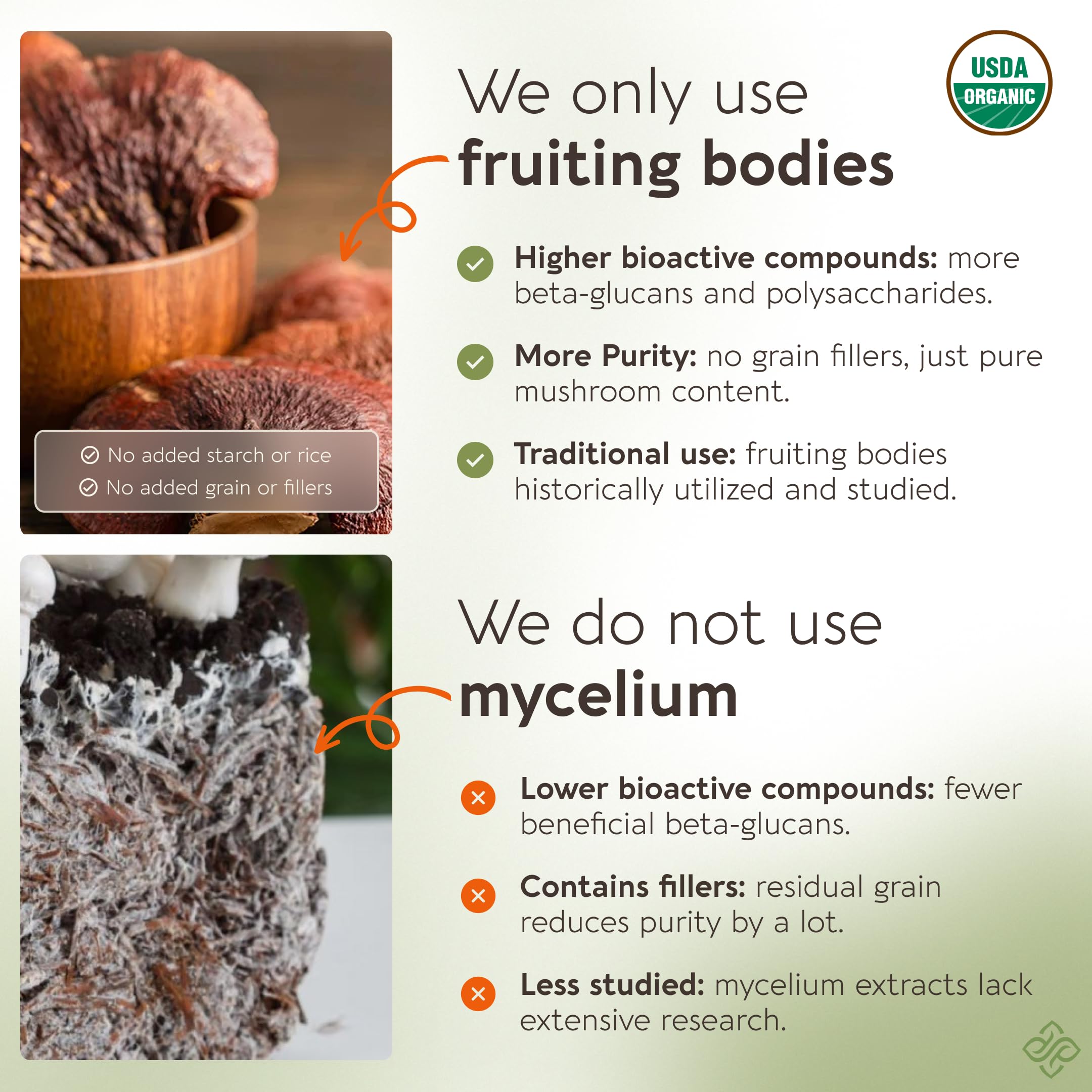 Longevity Botanicals batido con reishi mezclado para nutrición diaria