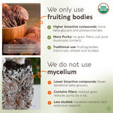 Longevity Botanicals batido con reishi mezclado para nutrición diaria