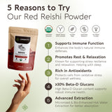 Longevity Botanicals cuchara dosificadora sobre polvo lista para medir dosis