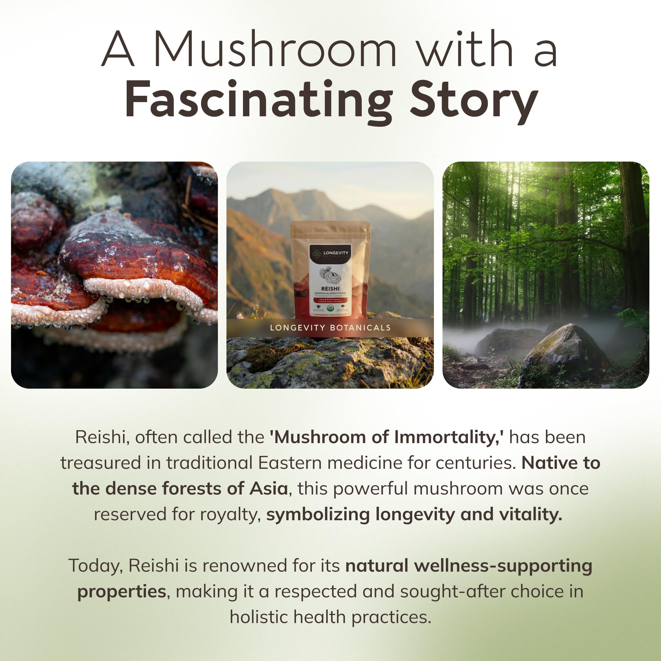 Longevity Botanicals cuerpo fructífero de Ganoderma lucidum mostrando origen