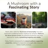 Longevity Botanicals cuerpo fructífero de Ganoderma lucidum mostrando origen