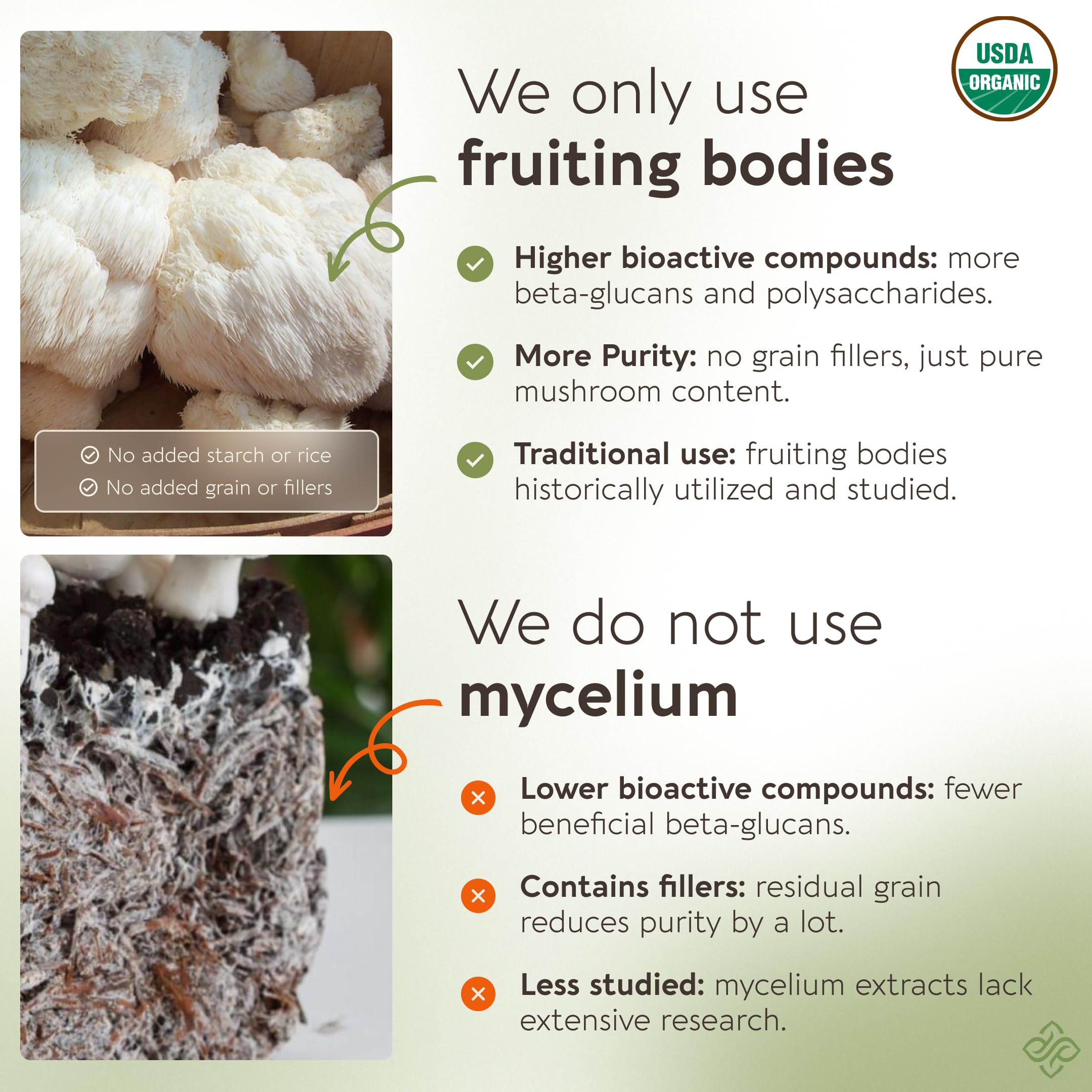 Longevity Botanicals mezclado en batido matutino para integración fácil