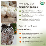 Longevity Botanicals mezclado en batido matutino para integración fácil
