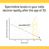 LONGEVITY LABS + cápsula junto a una regla para mostrar tamaño y dosificación