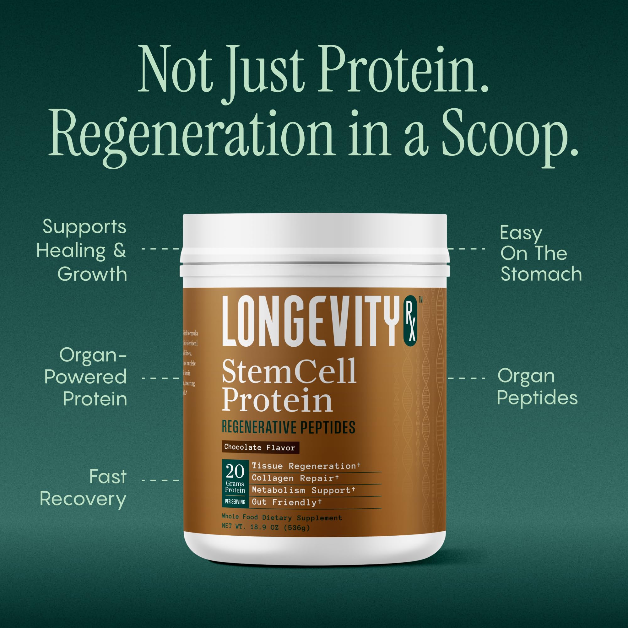 Longevity Rx polvo en cuchara mostrando textura cremosa y fácil disolución