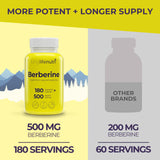 LongLifeNutri polvo fino de berberina enfatizando pureza y biodisponibilidad
