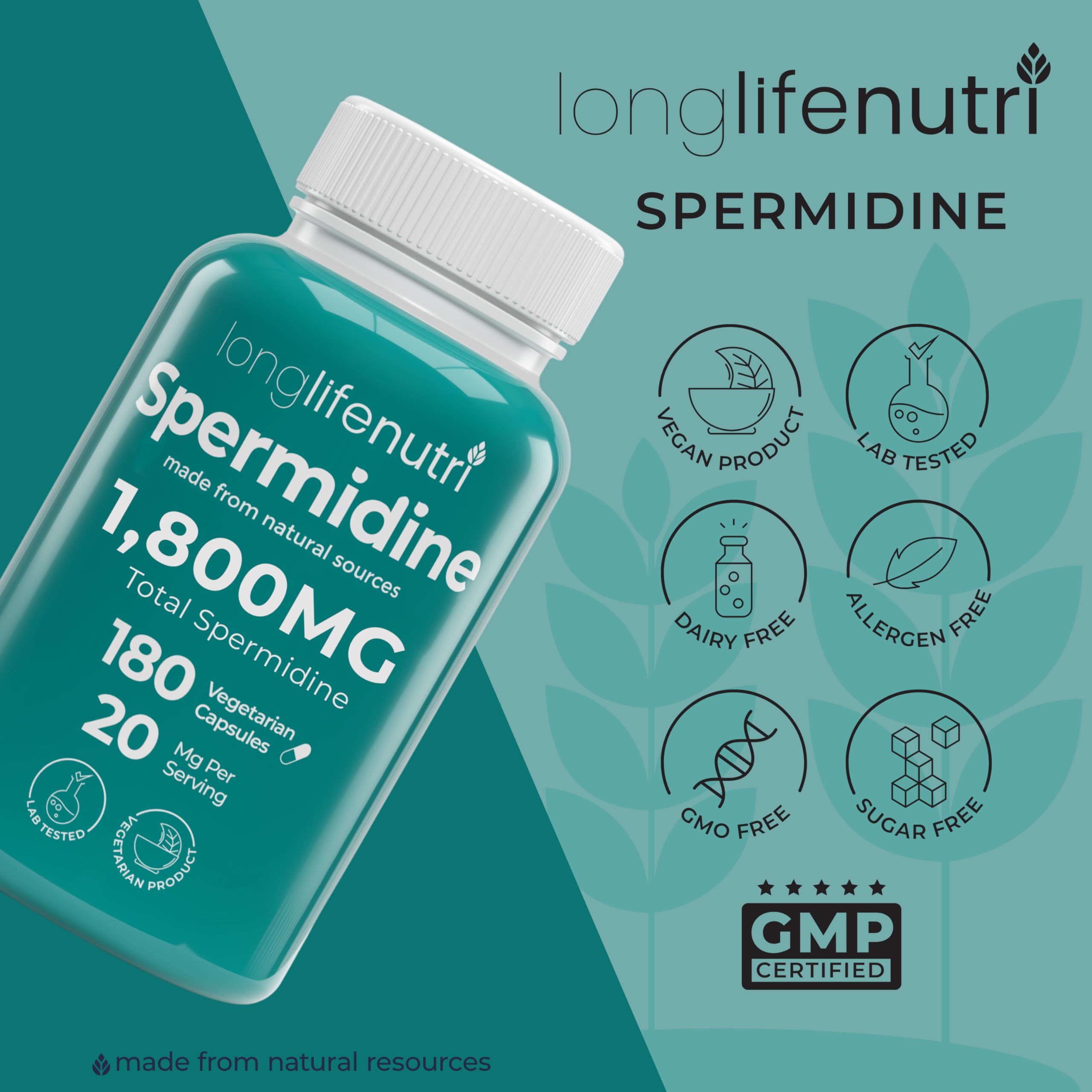 LongLifeNutri ambiente de desayuno saludable sugiriendo rutina