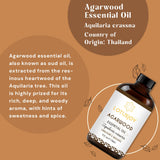 LOTUSJOY primer plano de aceite mostrando tono y textura natural