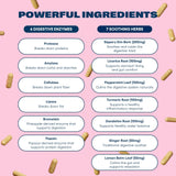 Love Sweat Fitness ingredientes naturales como jengibre y cúrcuma para digestión