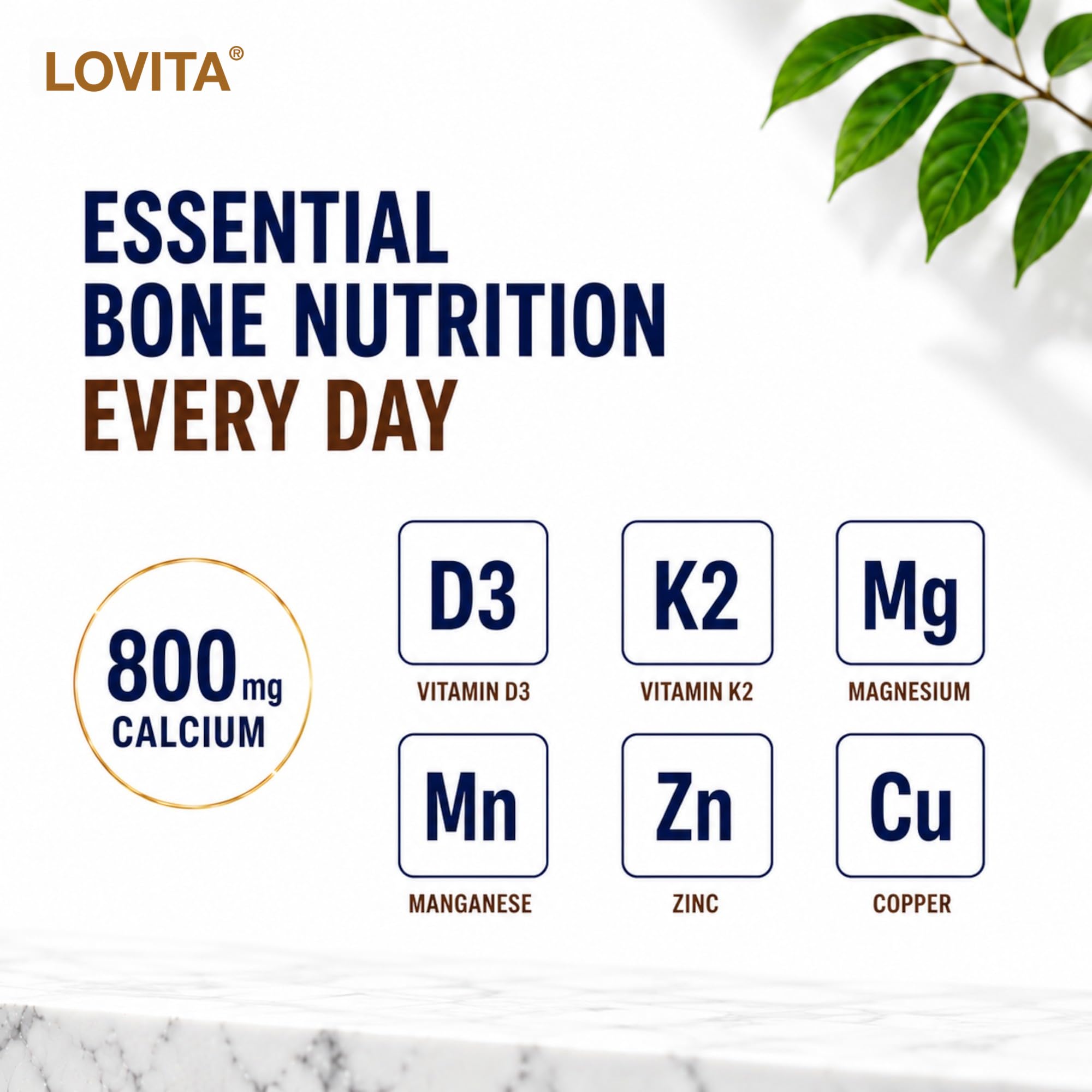 LOVITA detalle de ingredientes activos para confianza en la fórmula