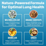 LUNG CLEAR PRO ingredientes naturales cerca, beneficio de mezcla de gordolobo y jengibre