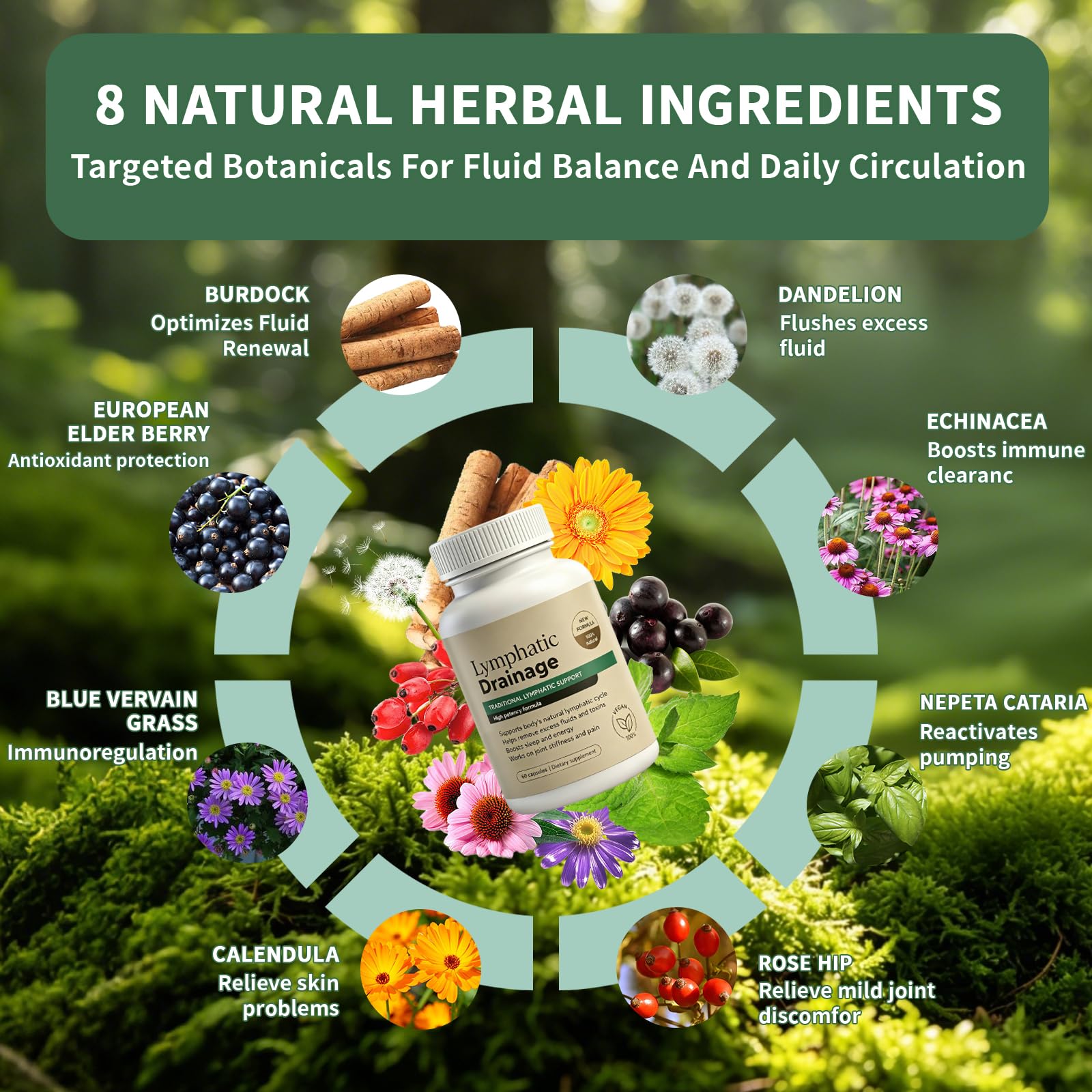 Generic ingredientes secos mostrando mezcla herbal de Lymphatic Drainage Capsules beneficios