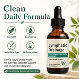 Generic Lymphatic Drainage comparado con objeto cotidiano para escala clara