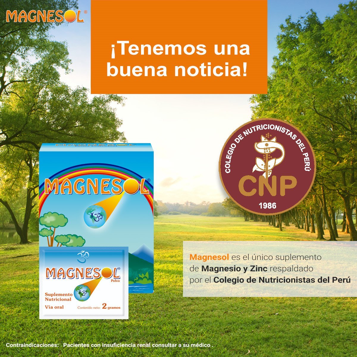 Magnesol polvo detalle de textura fina que facilita absorción rápida
