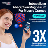MAGNOX primer plano de cápsula revela textura y pureza, beneficio absorción superior