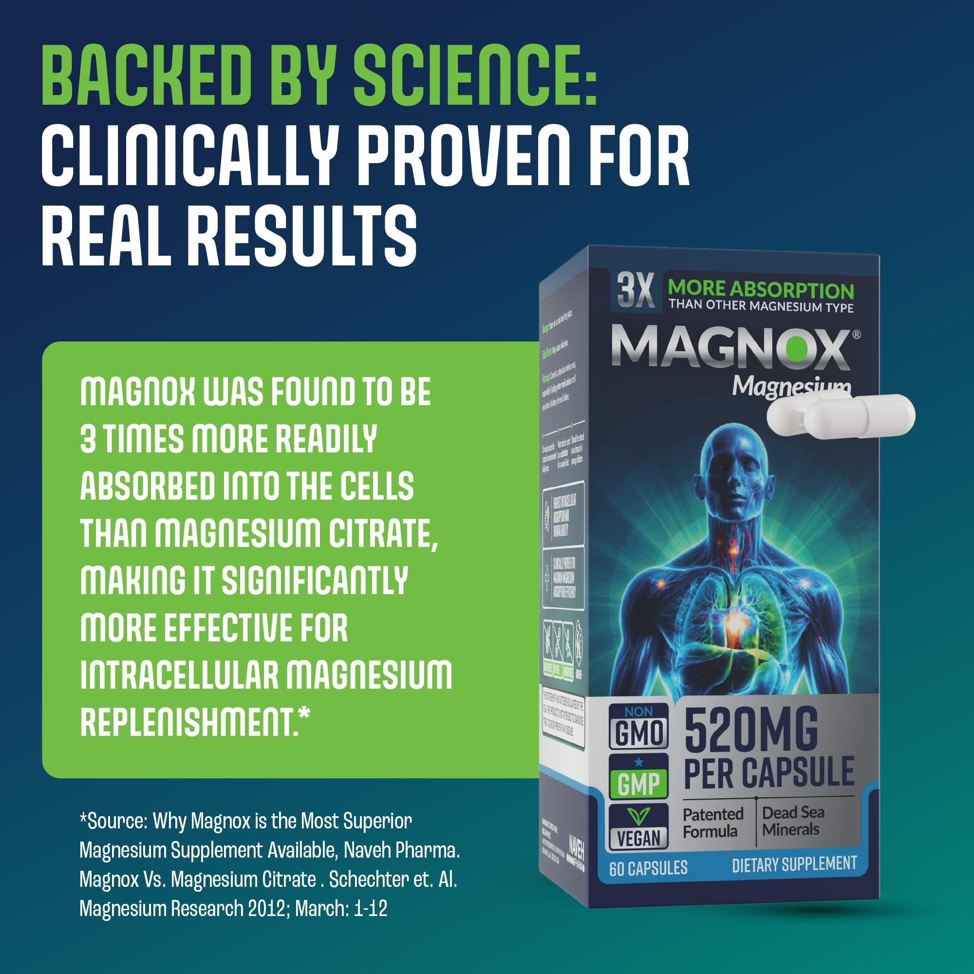 MAGNOX sellos Kosher y GMP indicando fabricación y control de calidad