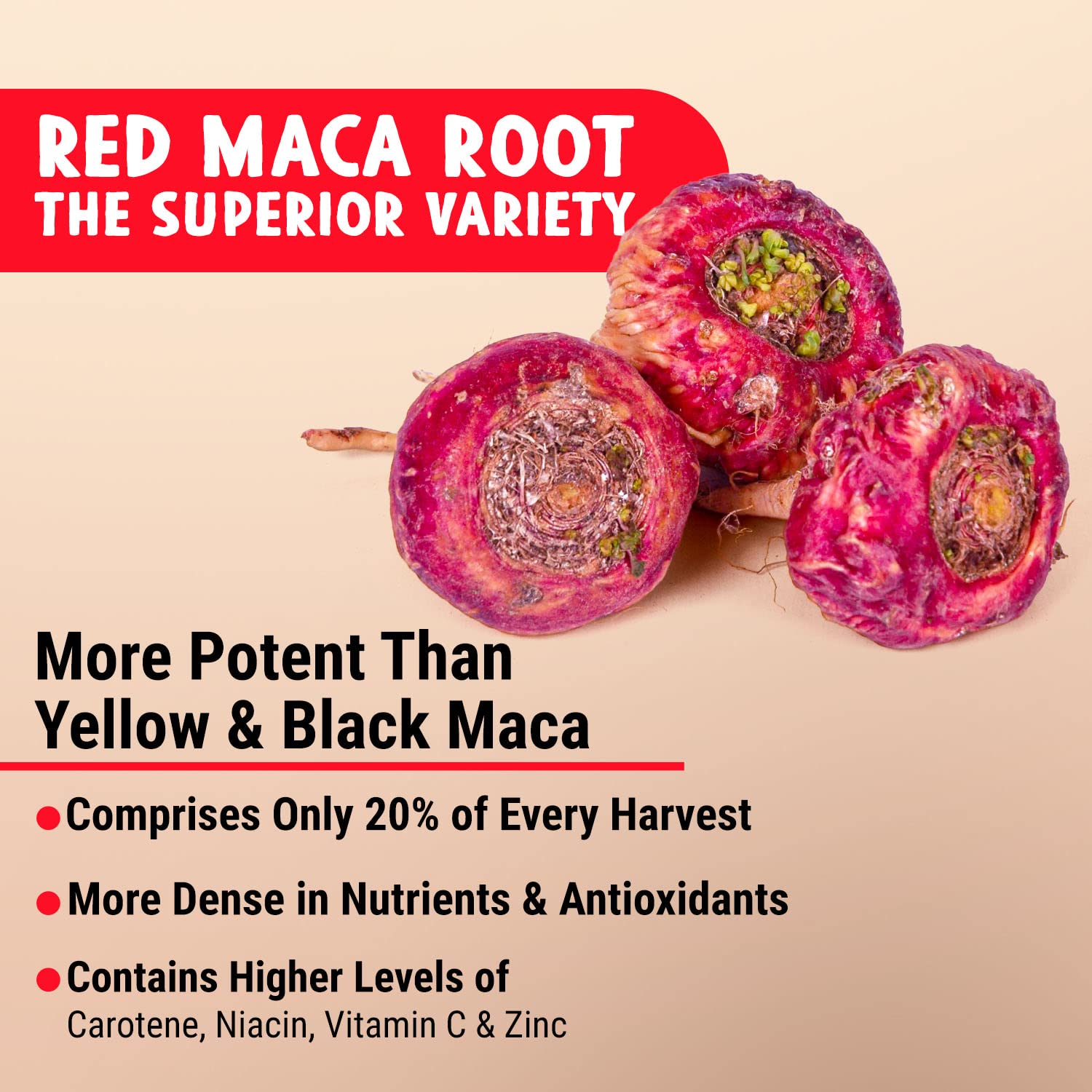 Maju Superfoods cápsula abierta con polvo interior, fácil de ingerir