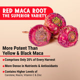 Maju Superfoods cápsula abierta con polvo interior, fácil de ingerir