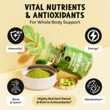 Maju Superfoods primer plano de hojas de moringa secas y calidad