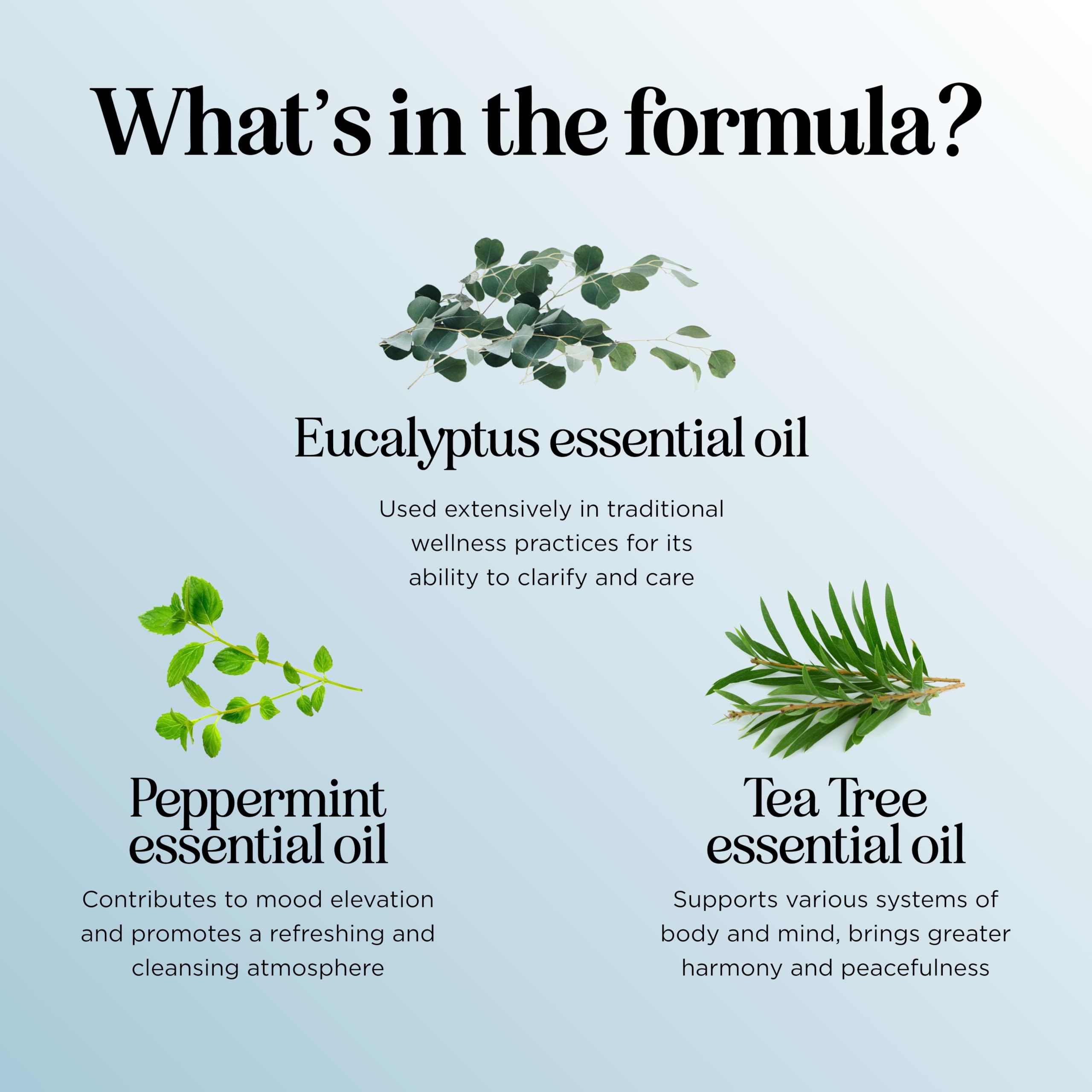 etiqueta de Maple Holistics con lista de ingredientes transparente y útil