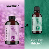 Maple Holistics mezcla de aceite de lavanda con aceite portador lista para aplicar