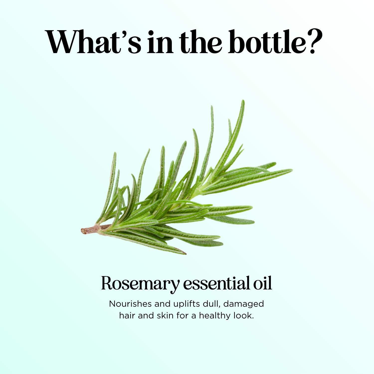 Maple Holistics botella abierta con aceite de romero visible en boca