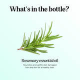 Maple Holistics botella abierta con aceite de romero visible en boca