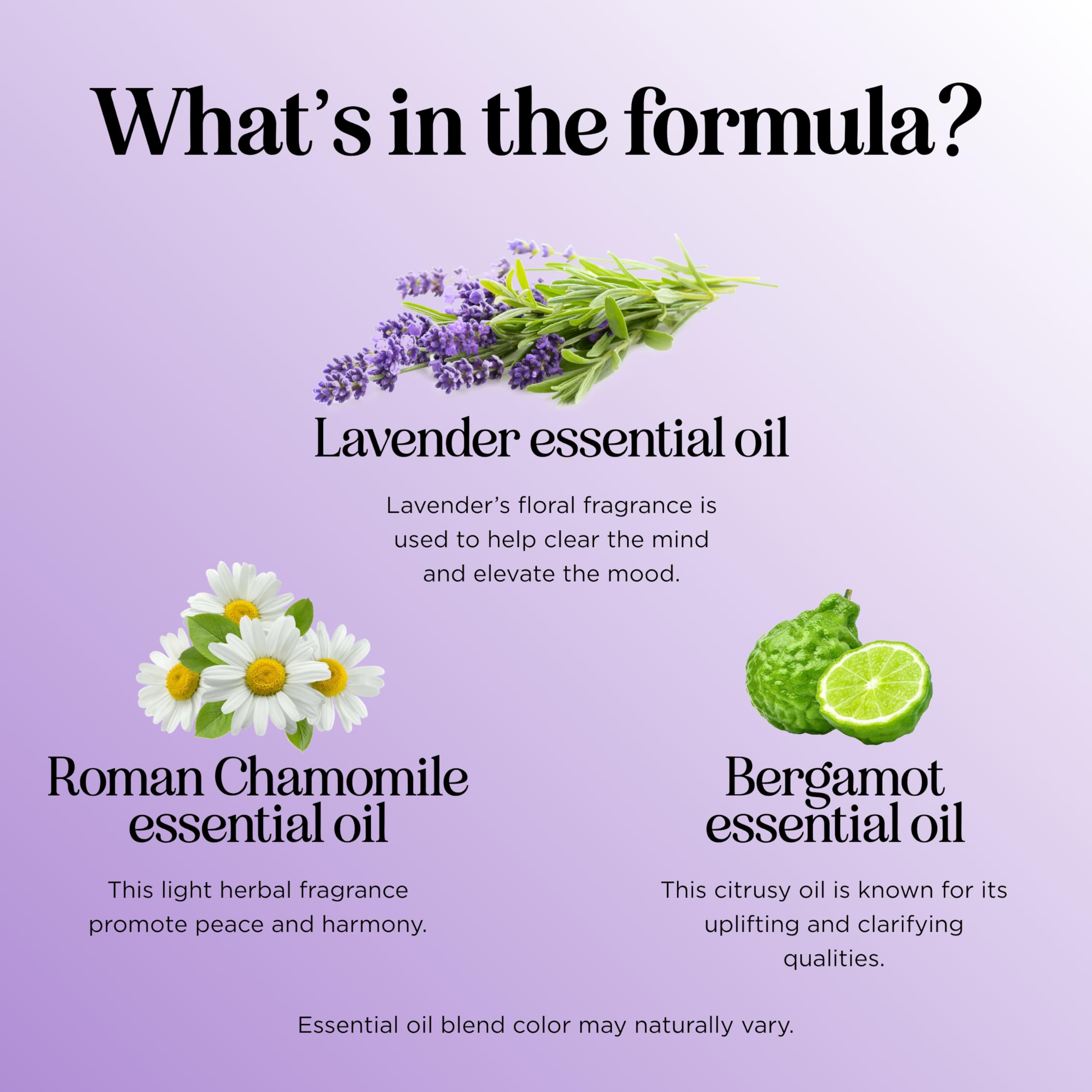 Vista de la lista de ingredientes en la botella Snooze destacando naturales Maple Holistics