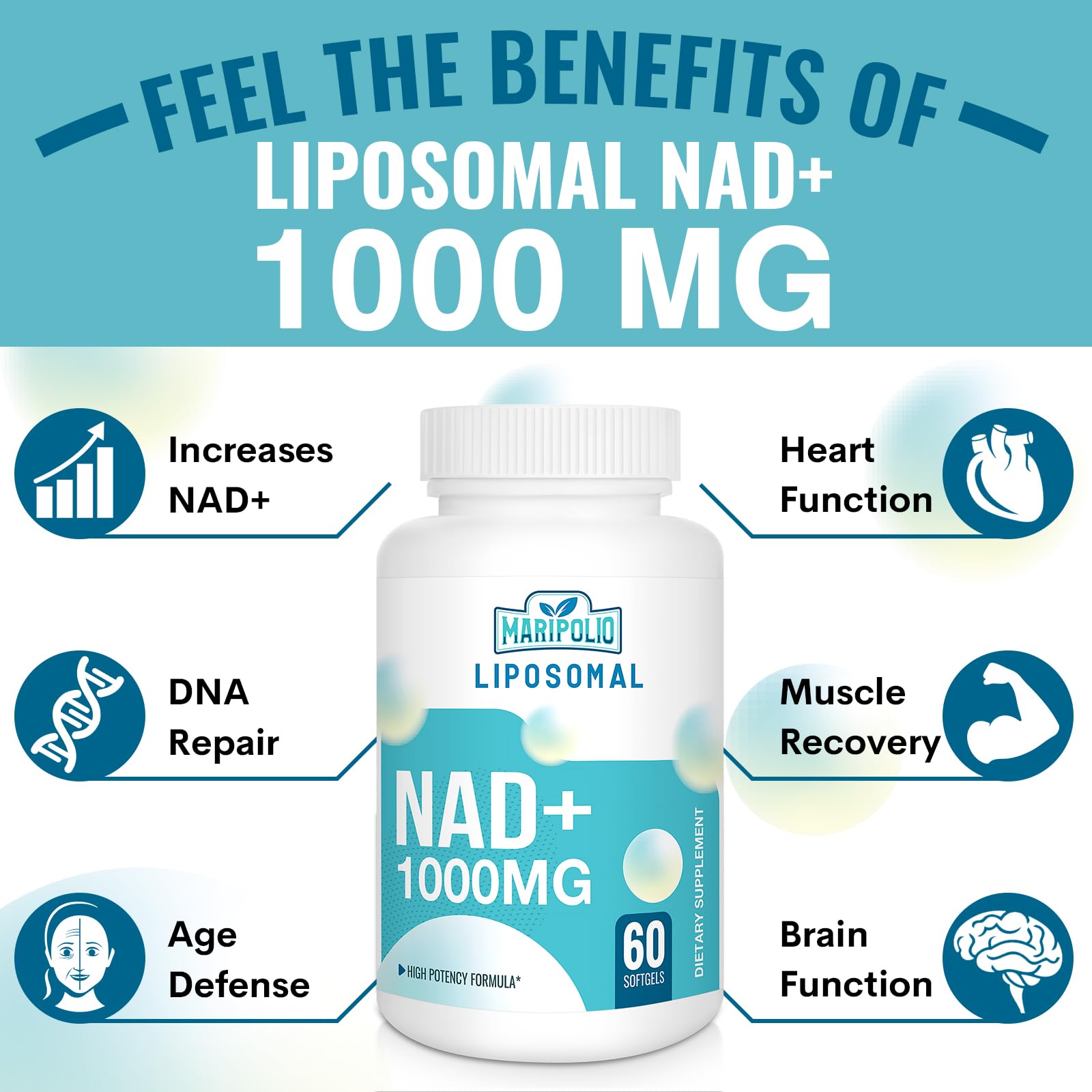 Maripolio detalle de textura liposomal ilustrando estructura y protección del NAD+