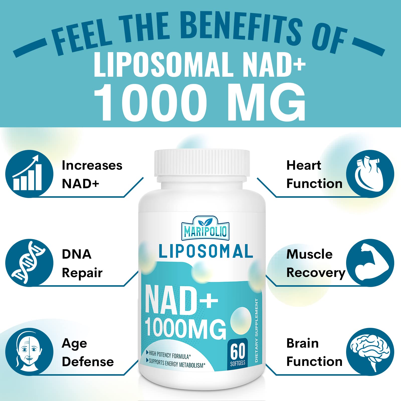 Maripolio ilustración de liposomas mostrando protección del NAD+
