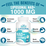 Maripolio ilustración de liposomas mostrando protección del NAD+