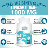 Maripolio detalle de textura liposomal ilustrando estructura y protección del NAD+