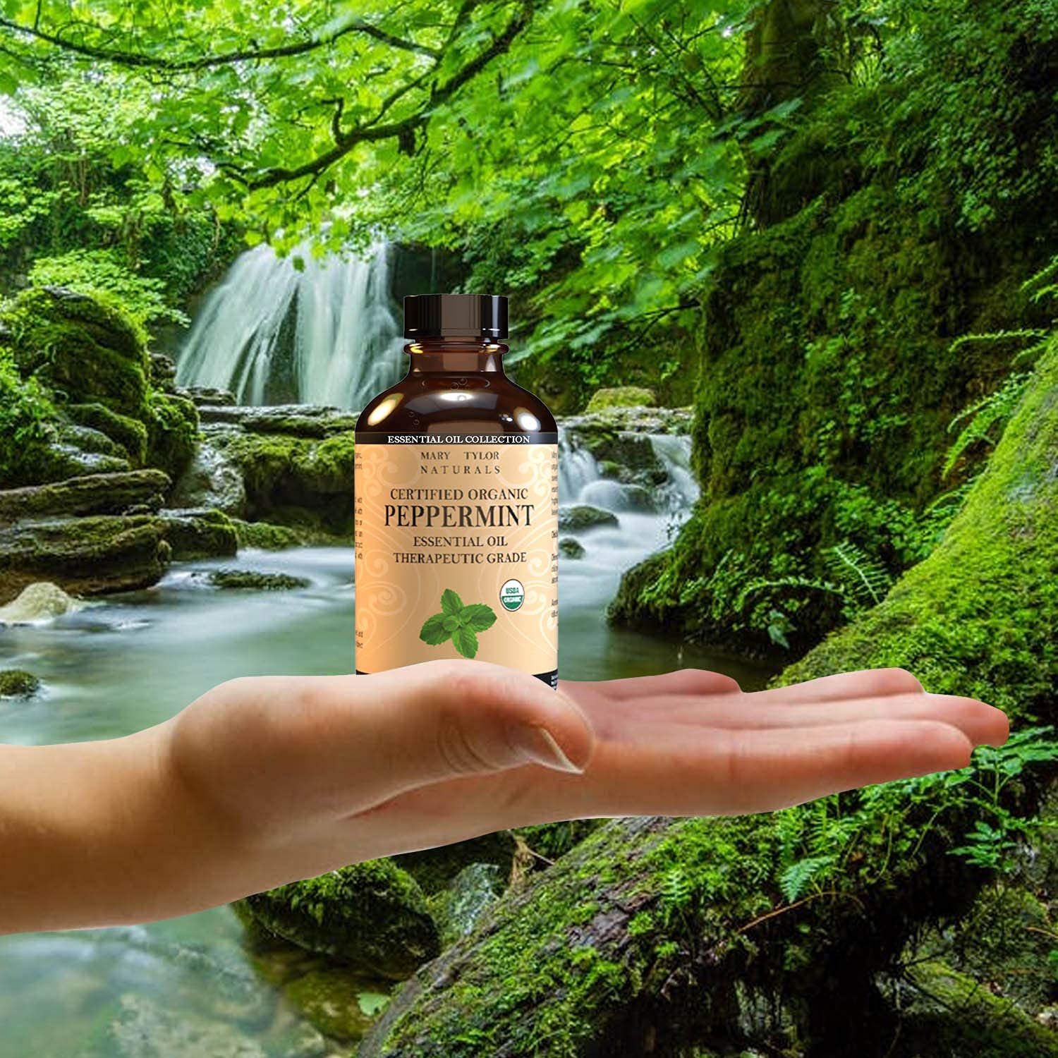 Mary Tylor Naturals etiqueta frontal con certificación USDA y datos del producto