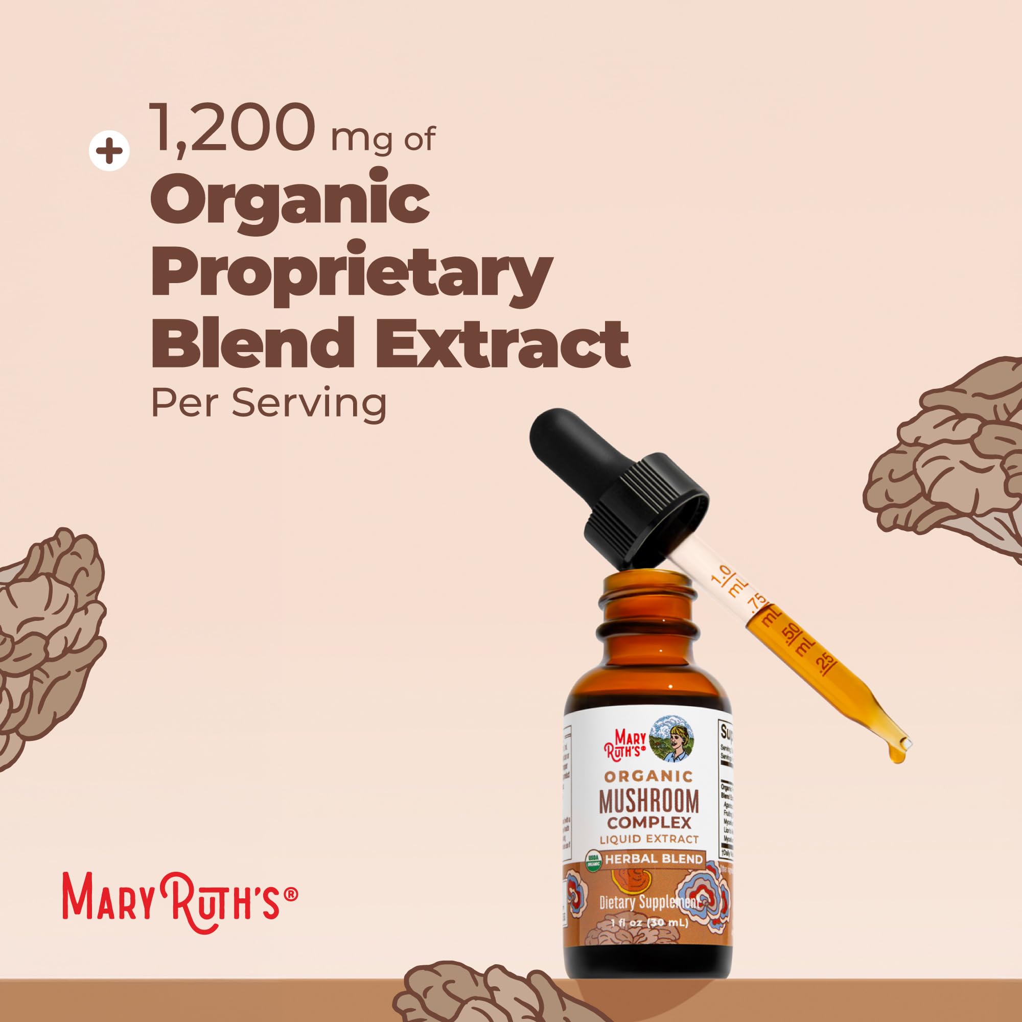 MARYRUTH'S grupo de hongos secos (lion's mane, reishi) destacando origen botánico