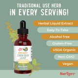 Hojas frescas de melisa e ingredientes mostrando el origen botánico de MARYRUTH'S