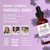 MARYRUTH'S imagen de la planta entera usada como ingrediente orgánico