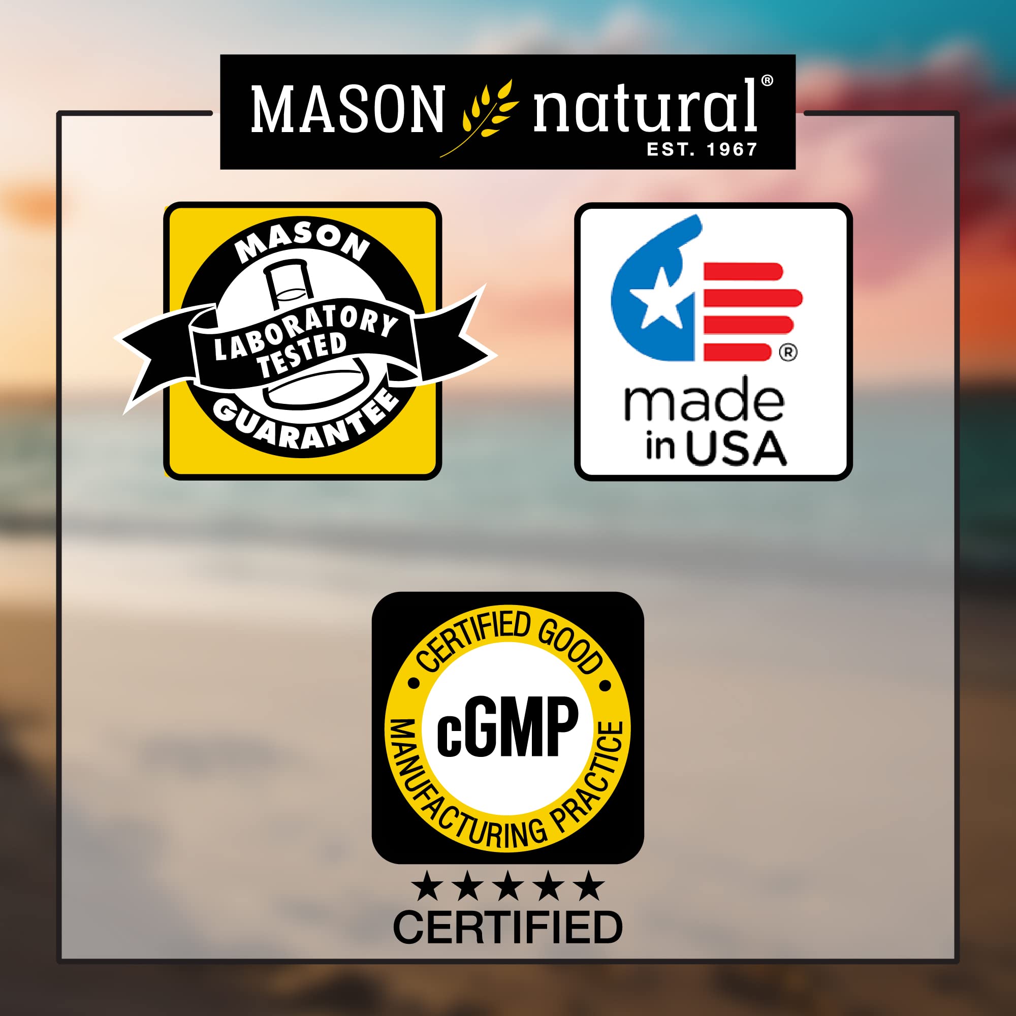 MASON NATURAL tableta junto a una moneda para comparar tamaño