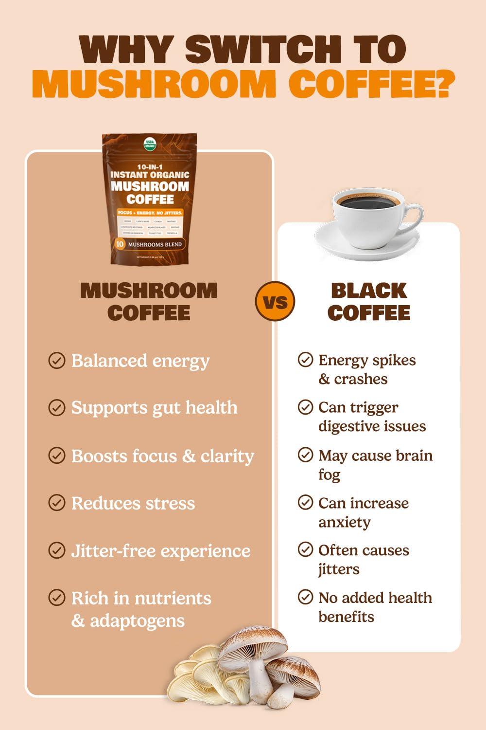MATCHA DNA primeros planos de lion's mane, reishi y chaga en etiqueta