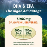 MAV NUTRITION gota de aceite de algas que muestra pureza y calidad