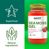 MAX FIT frasco en mano para comparar tamaño y porción práctico