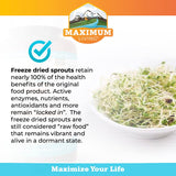 Maximum Living cápsulas junto a una regla para referencia de tamaño