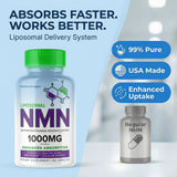 MaxLife Naturals ilustración liposomal, estabilidad y protección